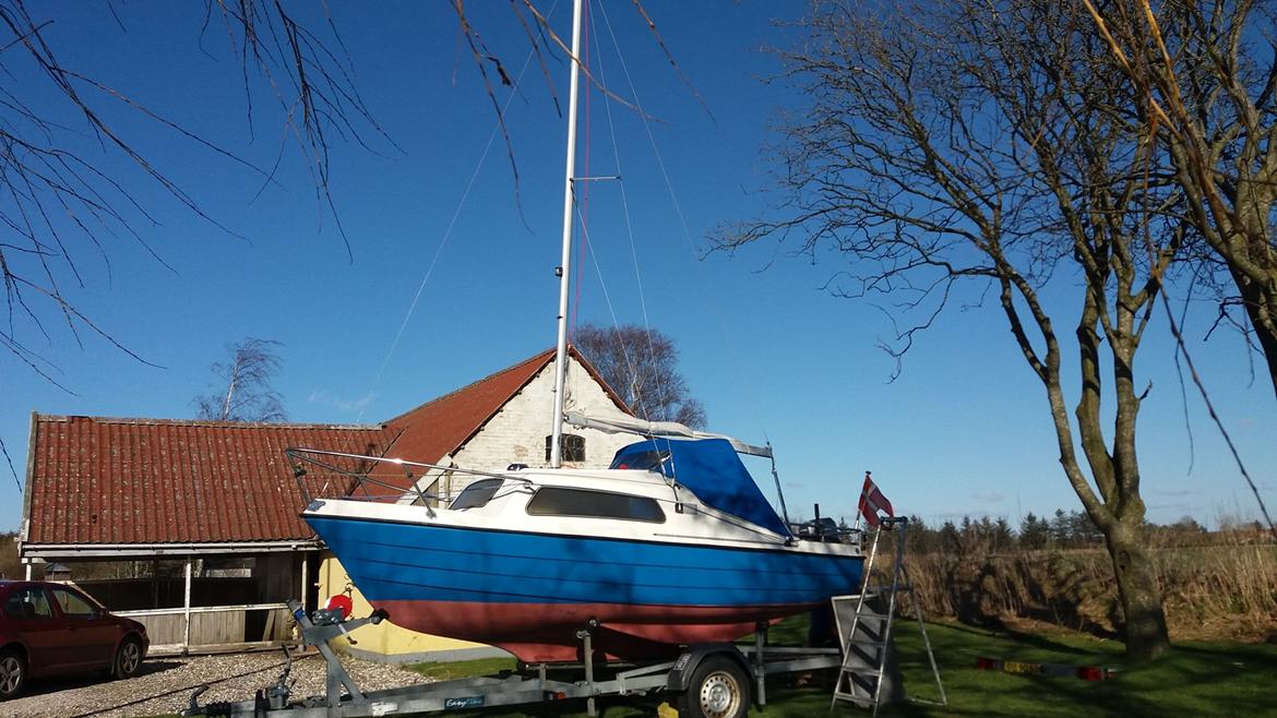 Pedro Pedro17 billede 2