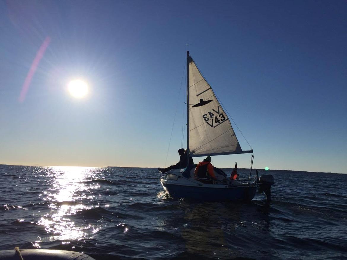 Pedro Pedro17 billede 4