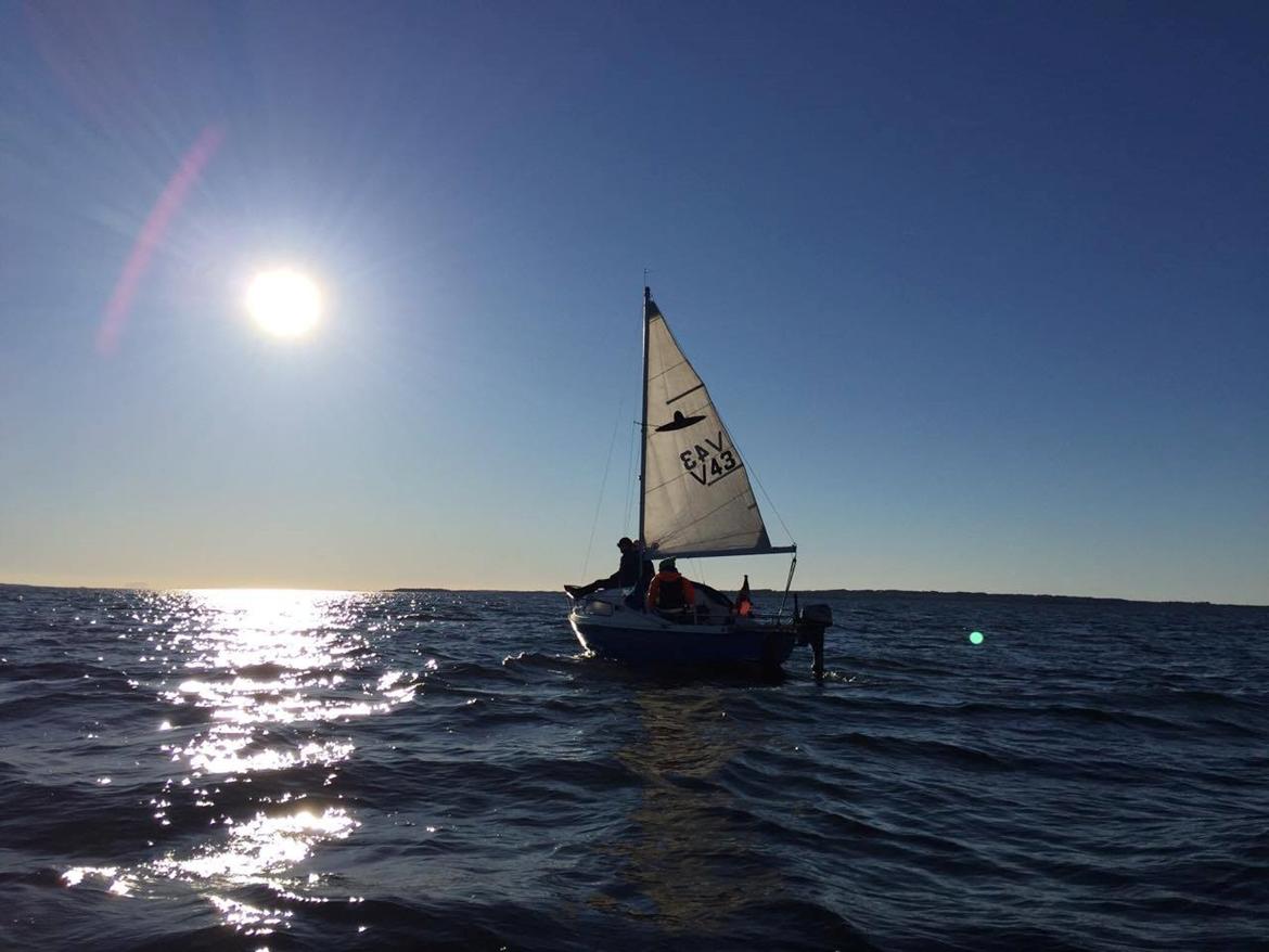 Pedro Pedro17 billede 5