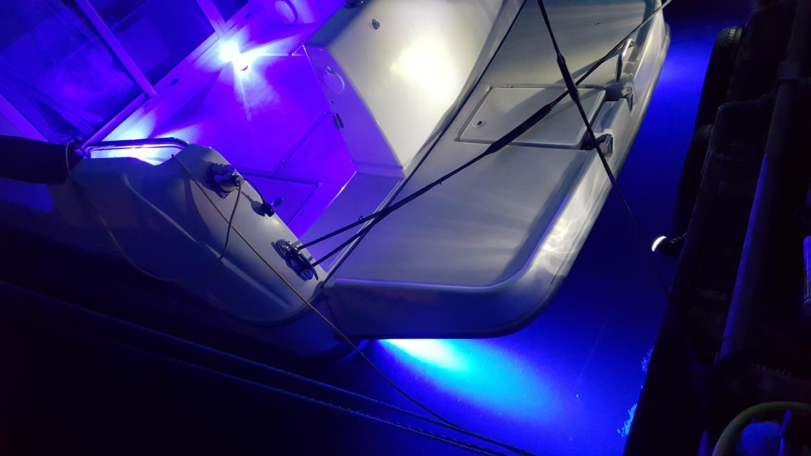 Ocqueteau 815 Cruiser billede 9