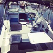 Wellcraft Excel 23SE