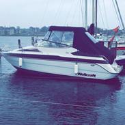 Wellcraft Excel 23SE