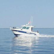 Ocqueteau 815