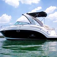 Chaparral 276 Signature