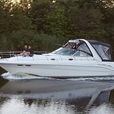 Sea Ray 250 DA