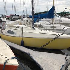 Solus 24