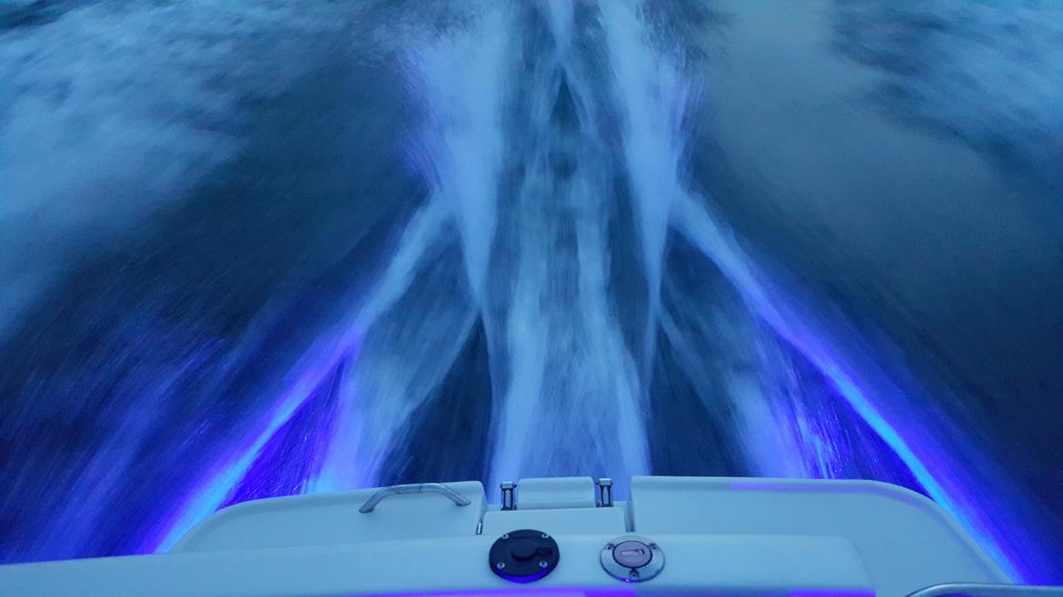 Ocqueteau 815 Cruiser billede 11