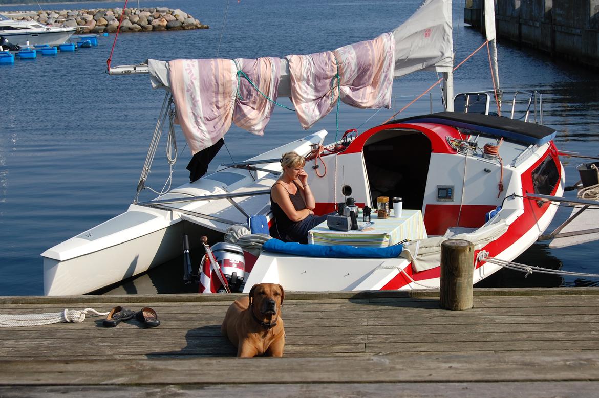 X Trident 27/3 (solgt) billede 3