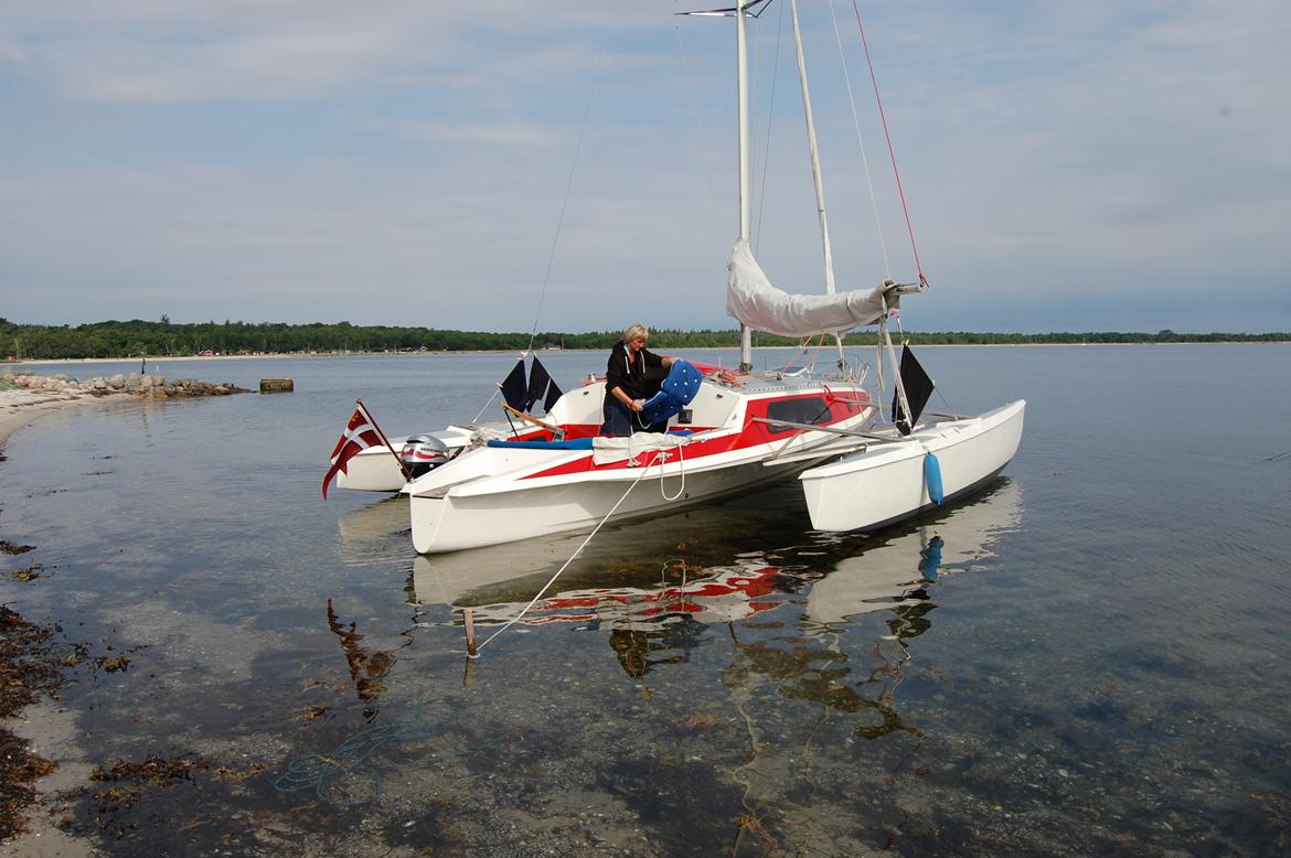 X Trident 27/3 (solgt) billede 4