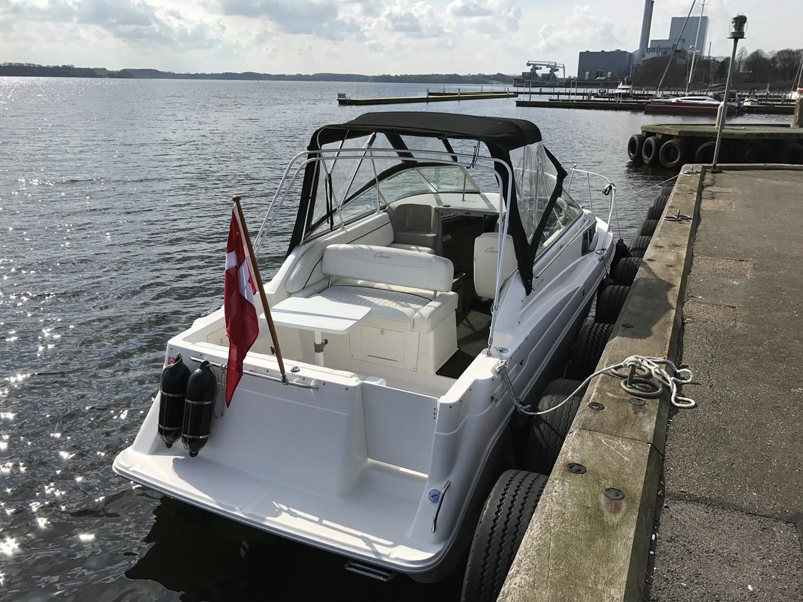 Bayliner 2655 Ciera billede 2