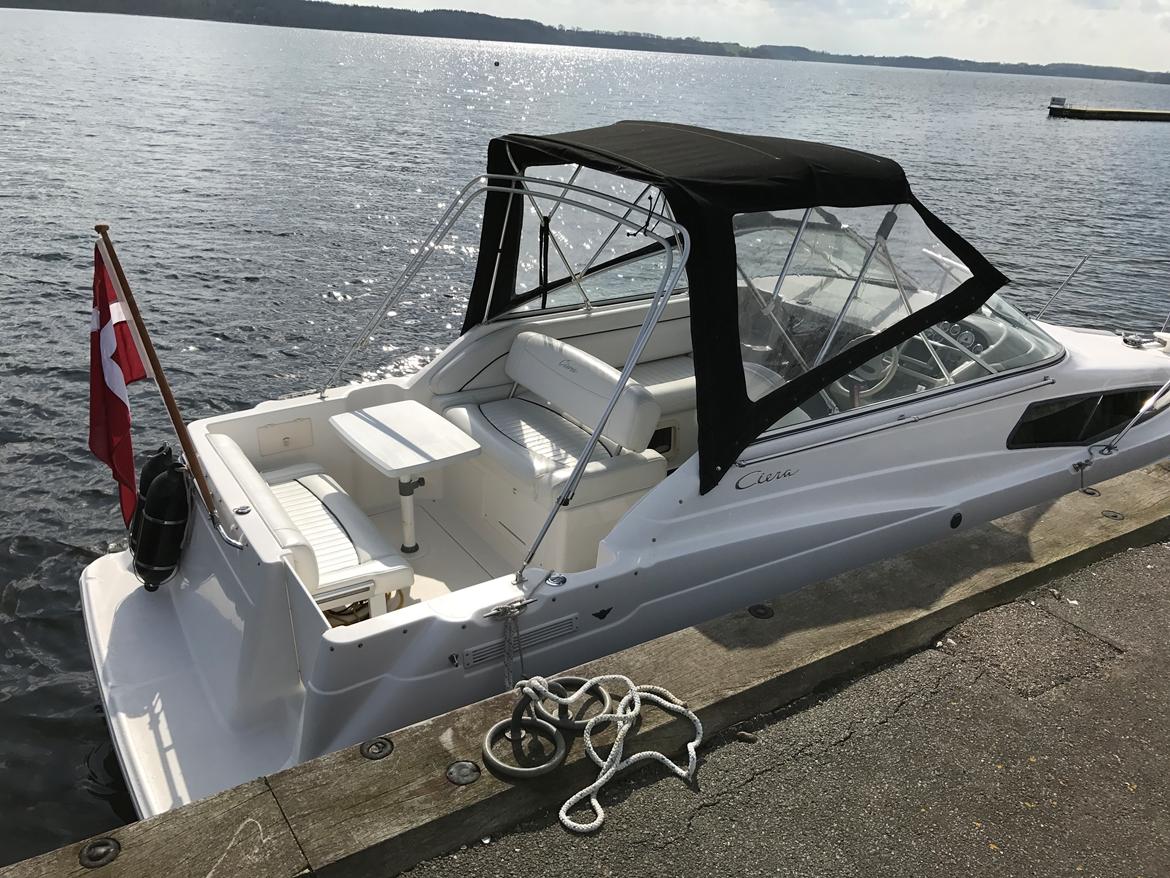 Bayliner 2655 Ciera billede 3