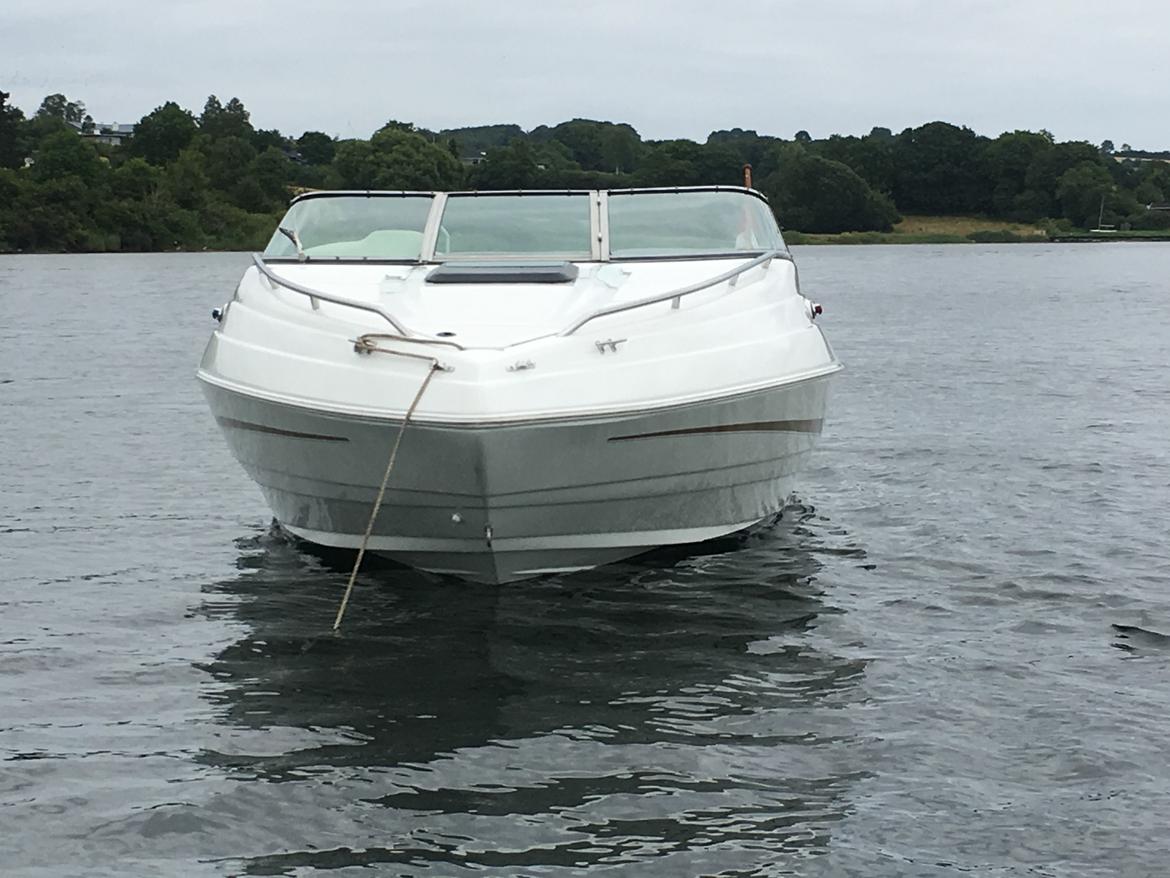 Mariah Talari 211 Limited Edition  billede 23