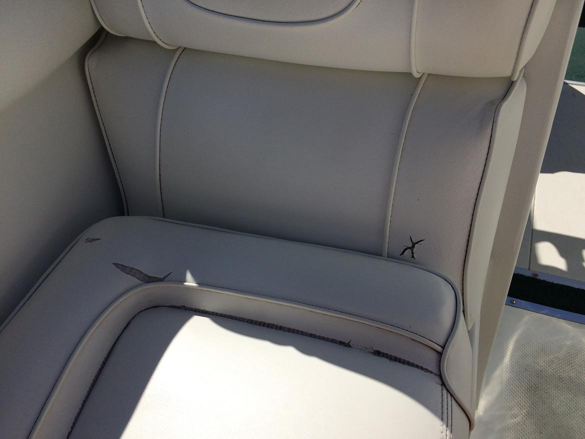 Mariah 202 Shabah billede 27