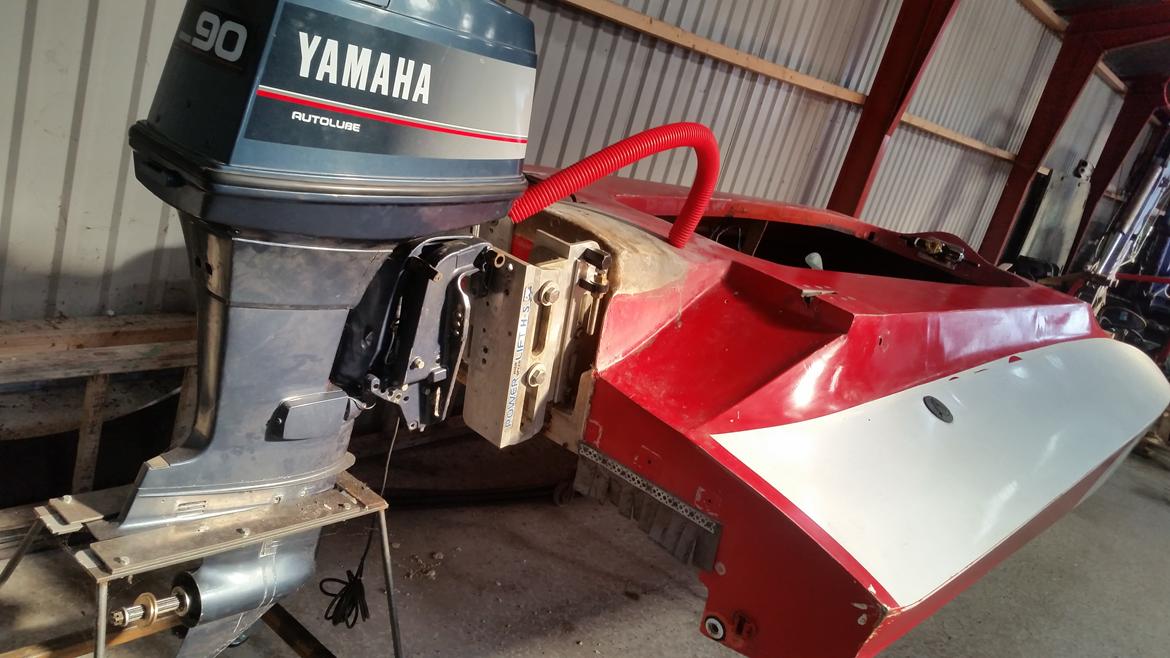 Acrobat Argocat 15 billede 13