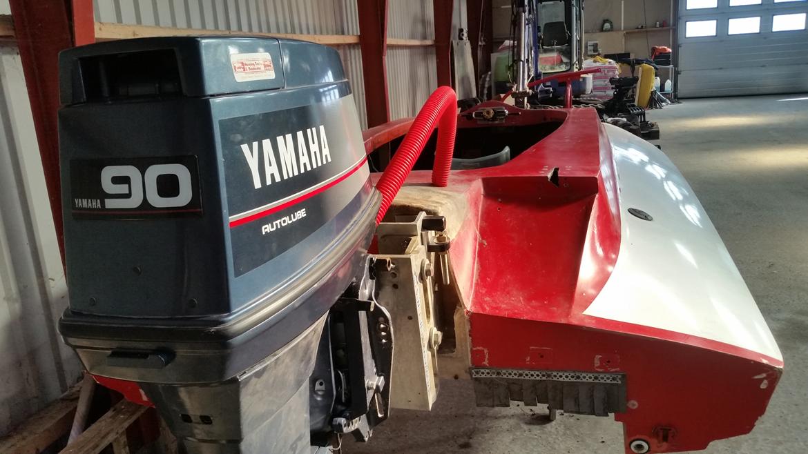 Acrobat Argocat 15 billede 14