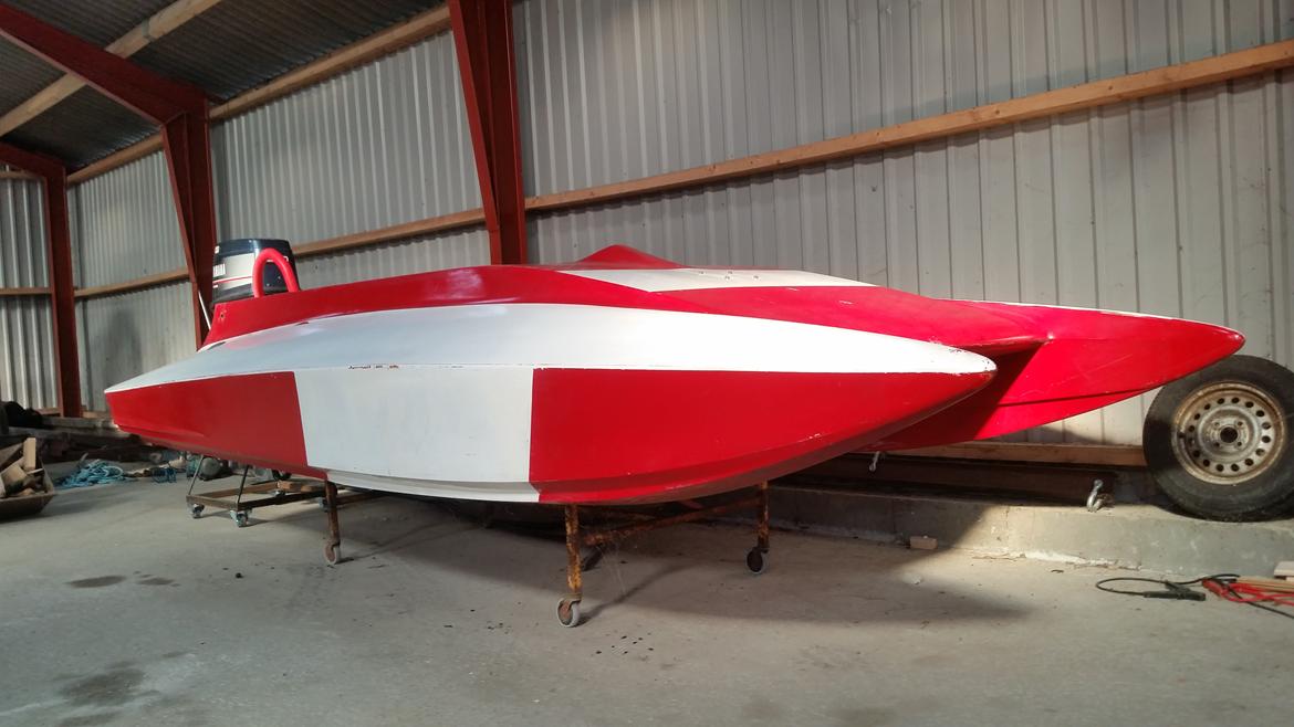 Acrobat Argocat 15 billede 16