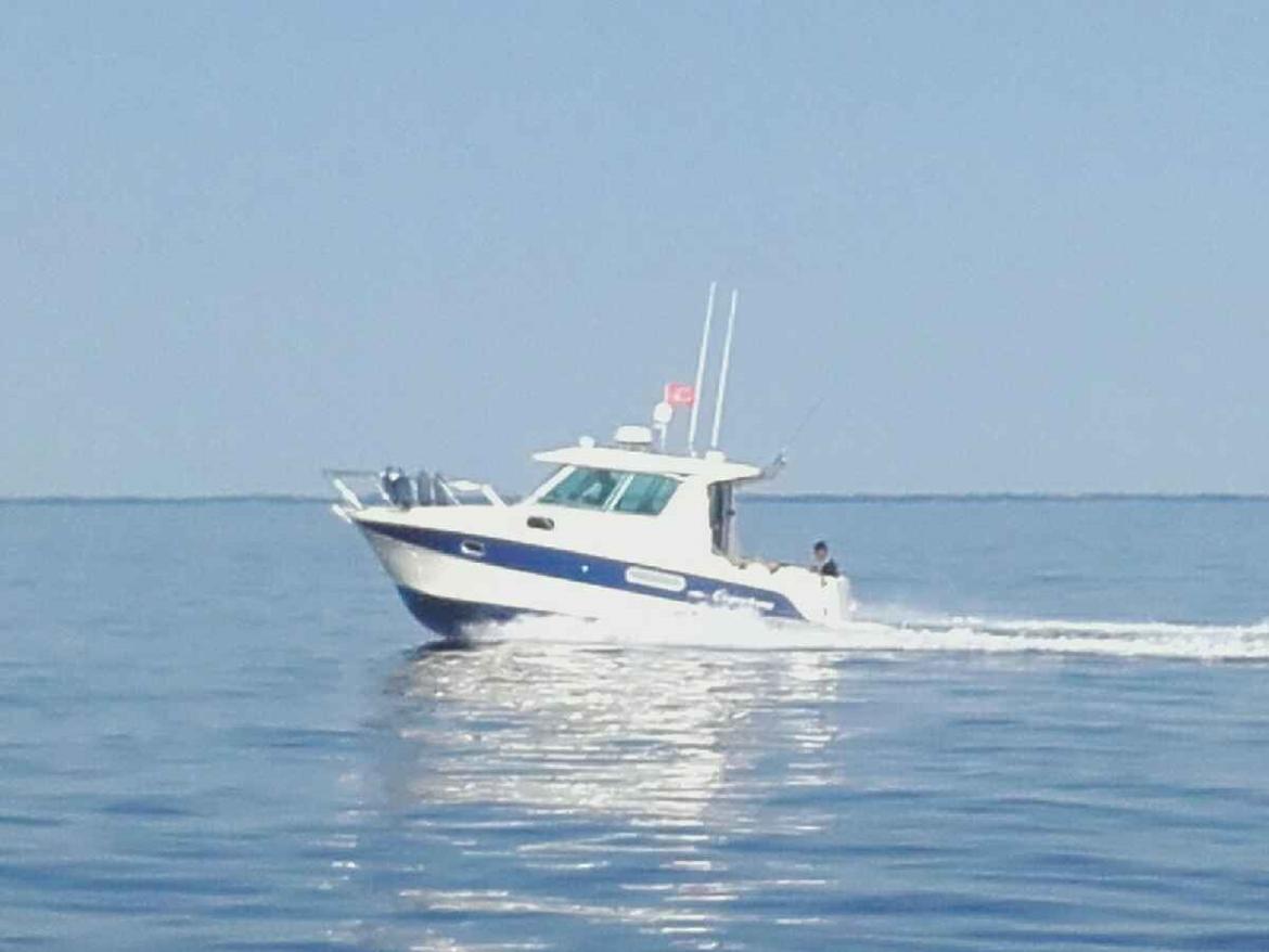 Ocqueteau 815 Cruiser billede 5