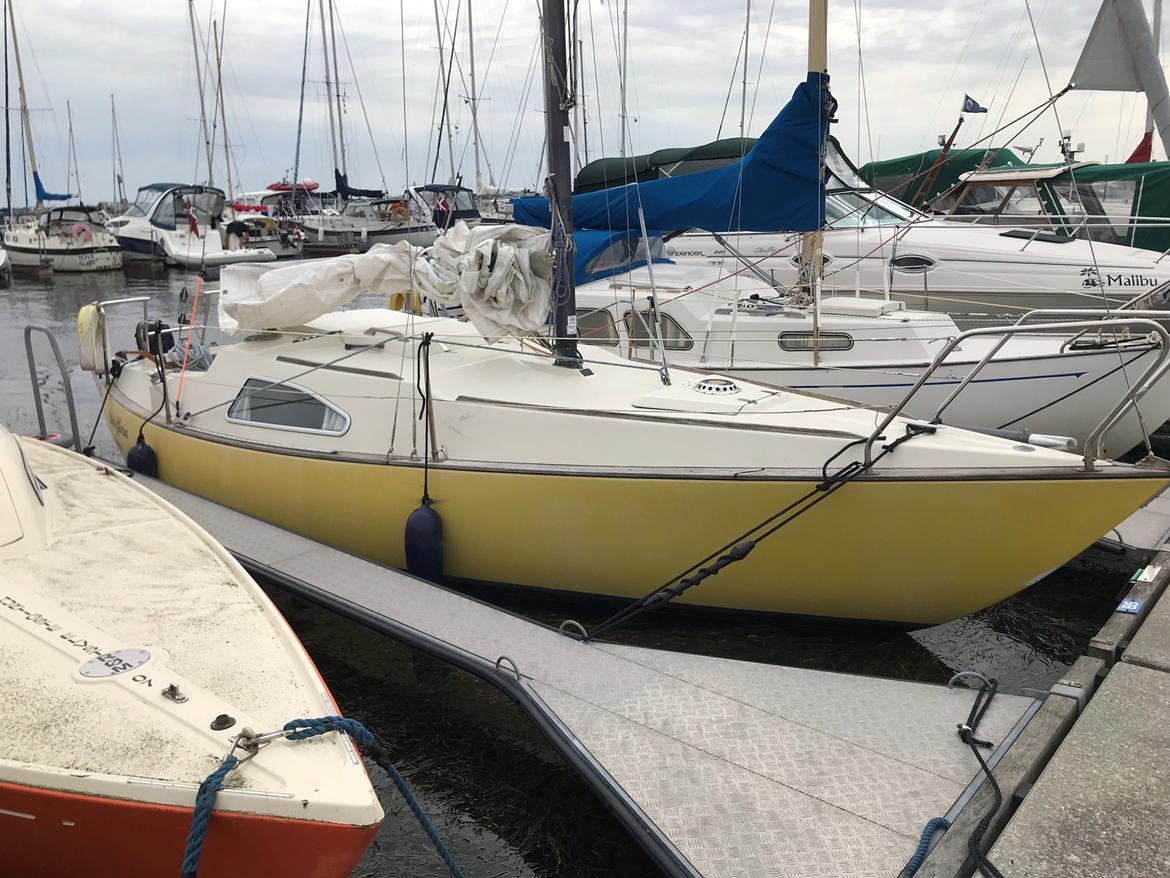 Solus 24 billede 1