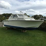Coronet 26 Family