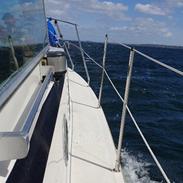 X amerglass 32