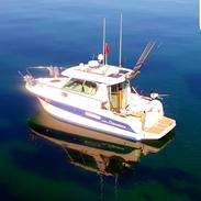 Ocqueteau 815