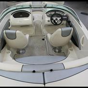Sea Ray 185 BR sport, 50 th. anniversary