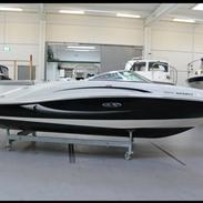 Sea Ray 185 BR sport, 50 th. anniversary