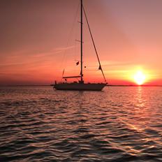 Swan Diana 56 (Swan kopi)