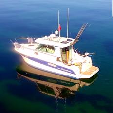 Ocqueteau 815 Cruiser