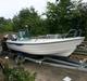 Terhi Nordic 6020