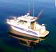 Ocqueteau 815 Cruiser