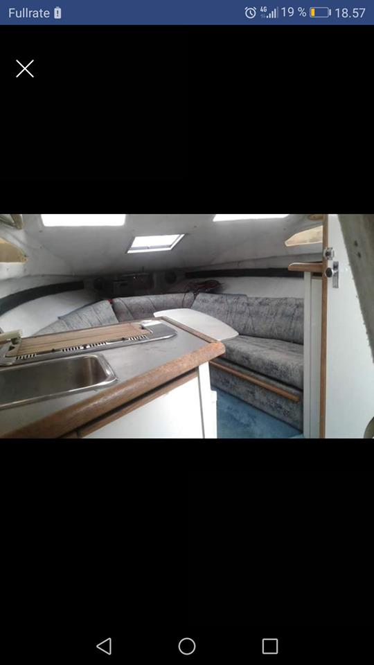 Bayliner 2650 Ciera sunbridge billede 6