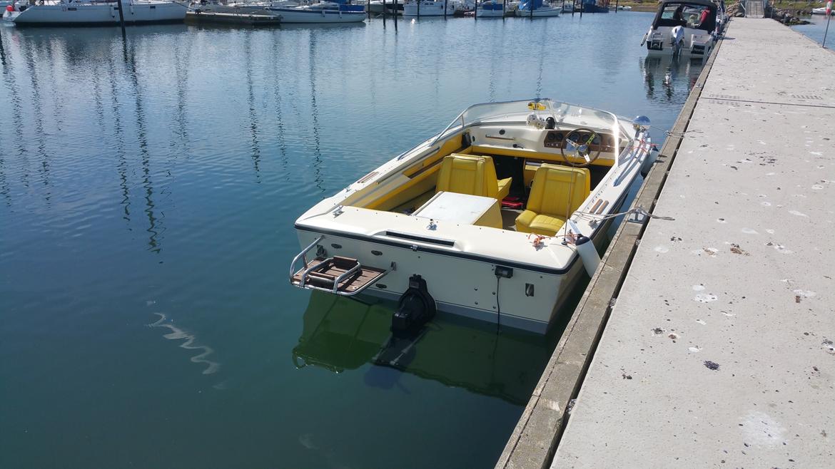 Sea Ray SRV 180 - Ved Reersø havn på en af de mange dejlige sommerdage vi havde i 2018. billede 5