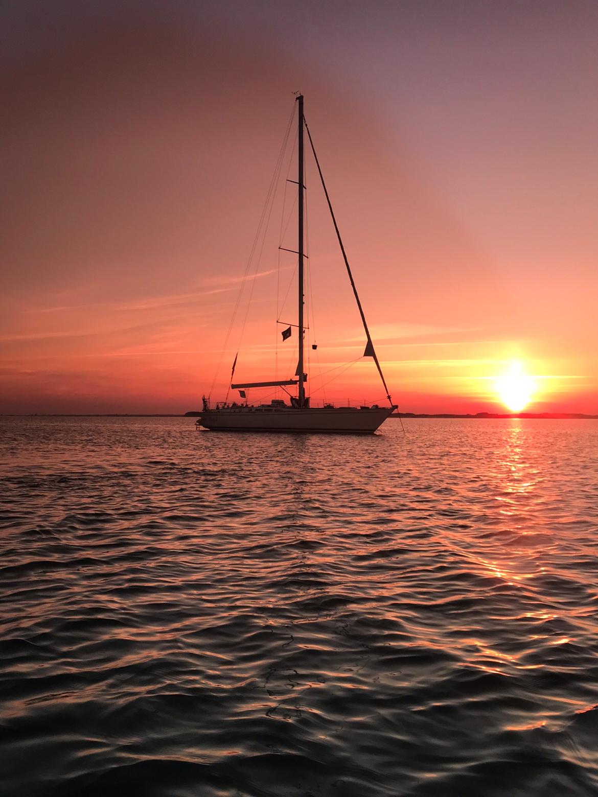 Swan Diana 56 (Swan kopi) billede 1