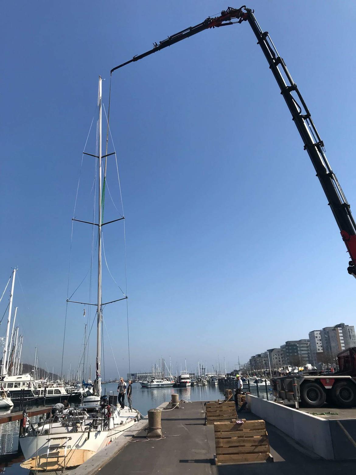 Swan Diana 56 (Swan kopi) billede 23