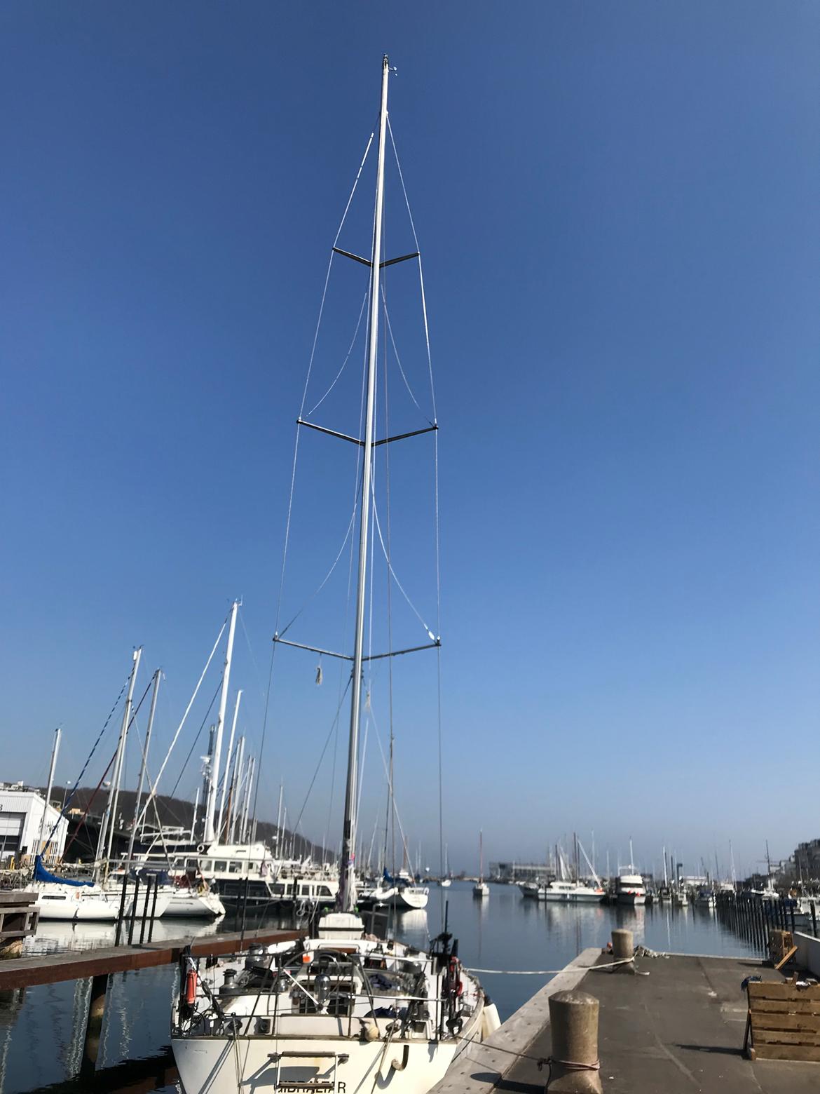 Swan Diana 56 (Swan kopi) billede 24