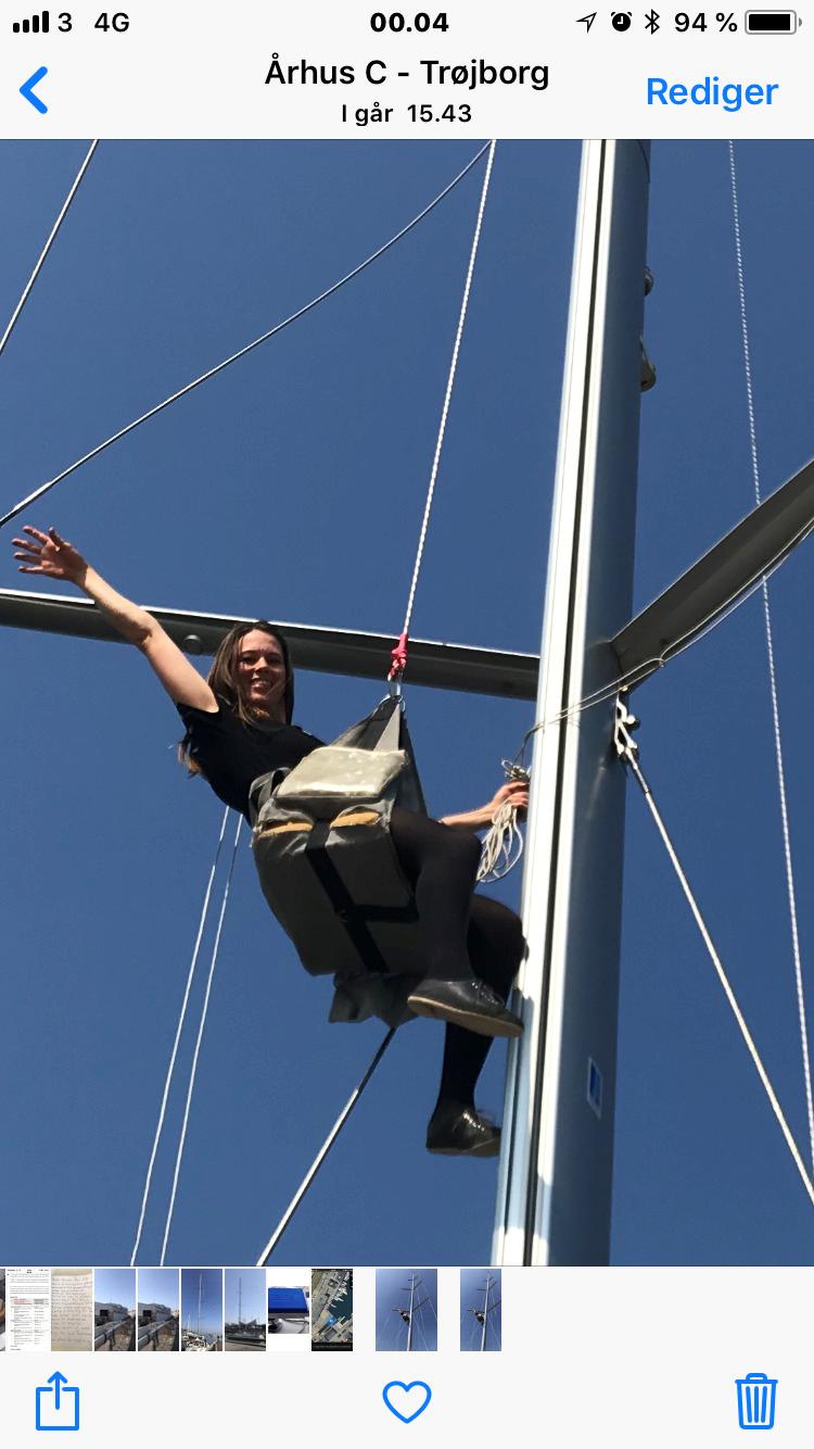 Swan Diana 56 (Swan kopi) billede 26