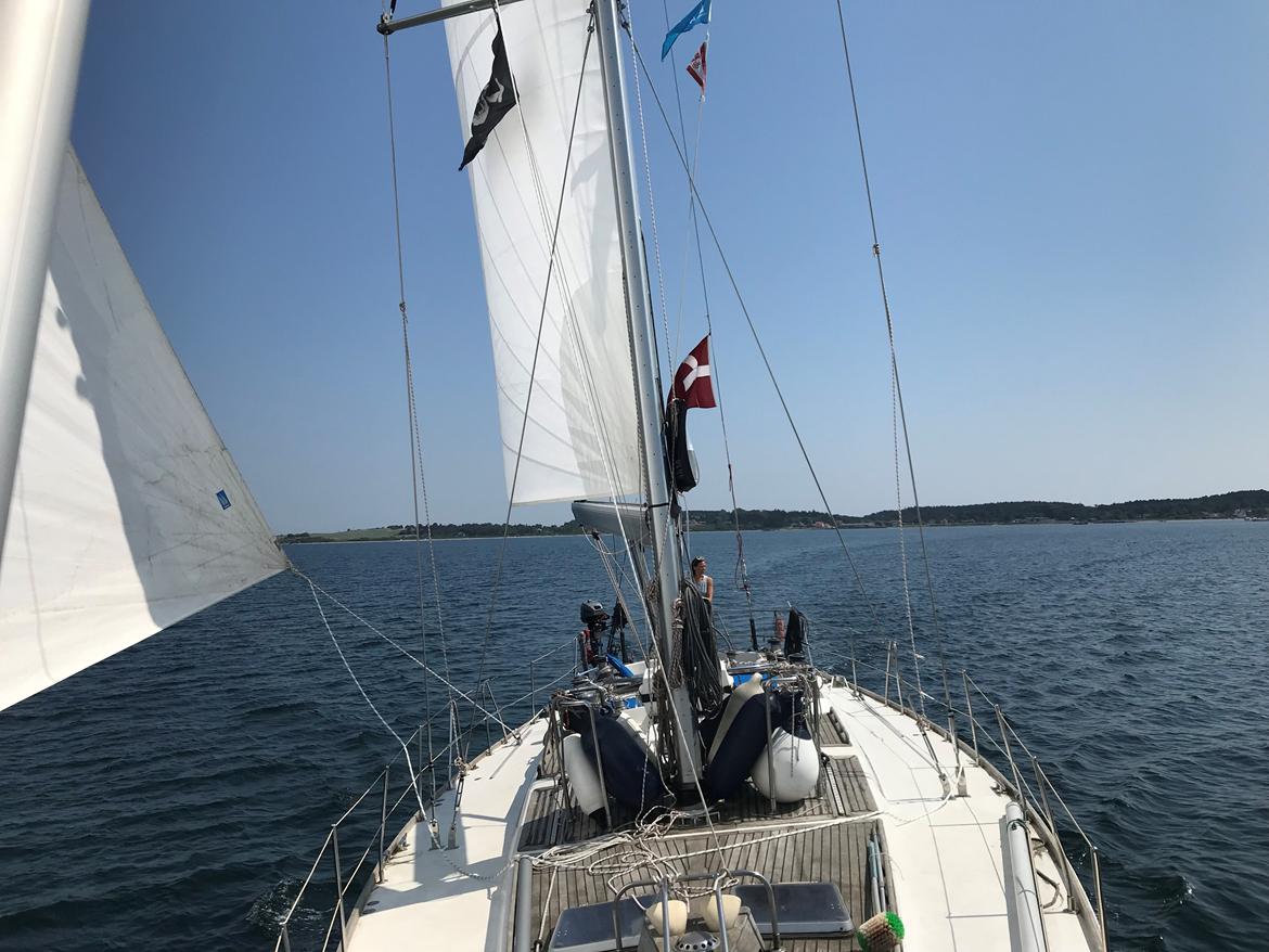 Swan Diana 56 (Swan kopi) billede 27