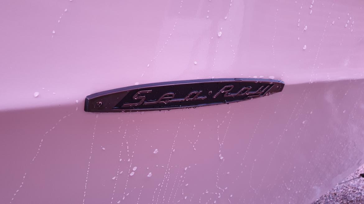 Sea Ray SRV 190 "Dauntless" billede 19