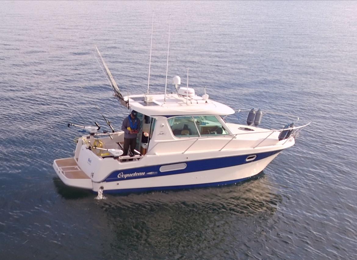 Ocqueteau 815 Cruiser billede 2