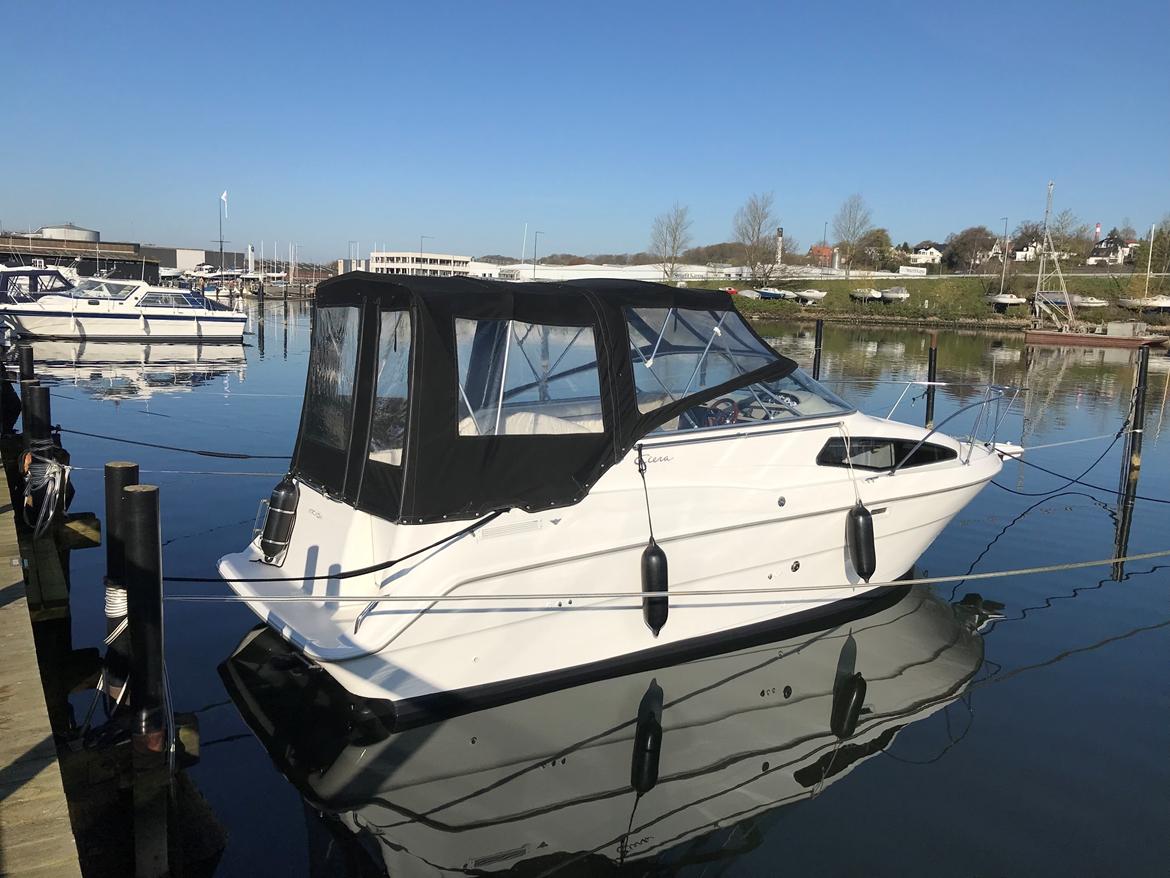 Bayliner 2655 Ciera - April 2019 billede 43