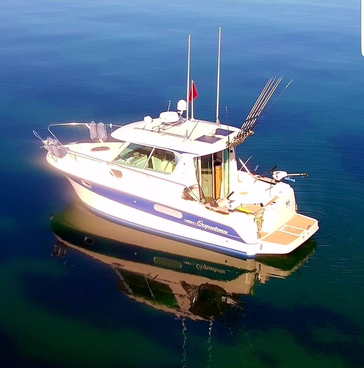 Ocqueteau 815 Cruiser billede 1