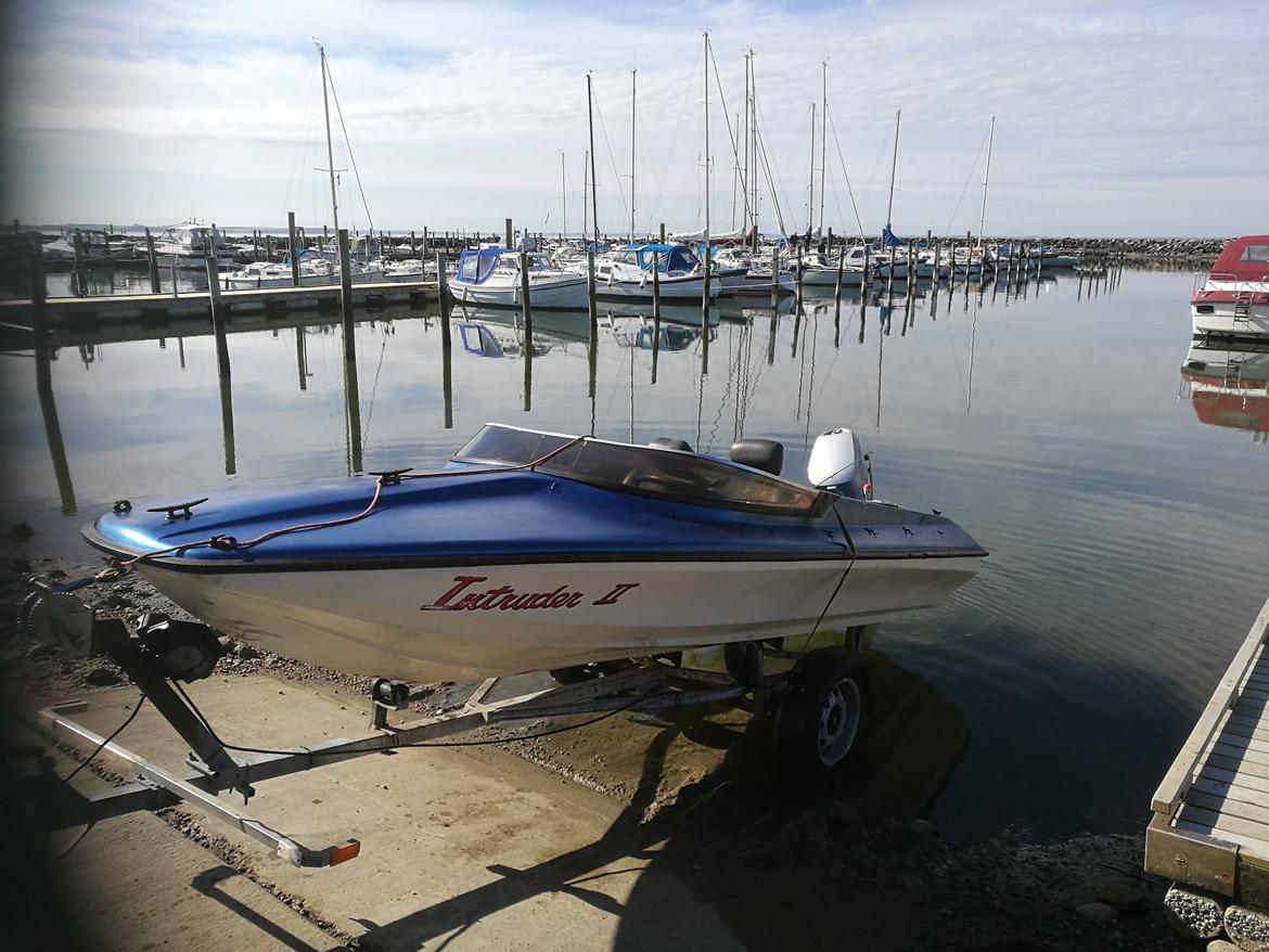 Shakespeare the wild one  billede 1