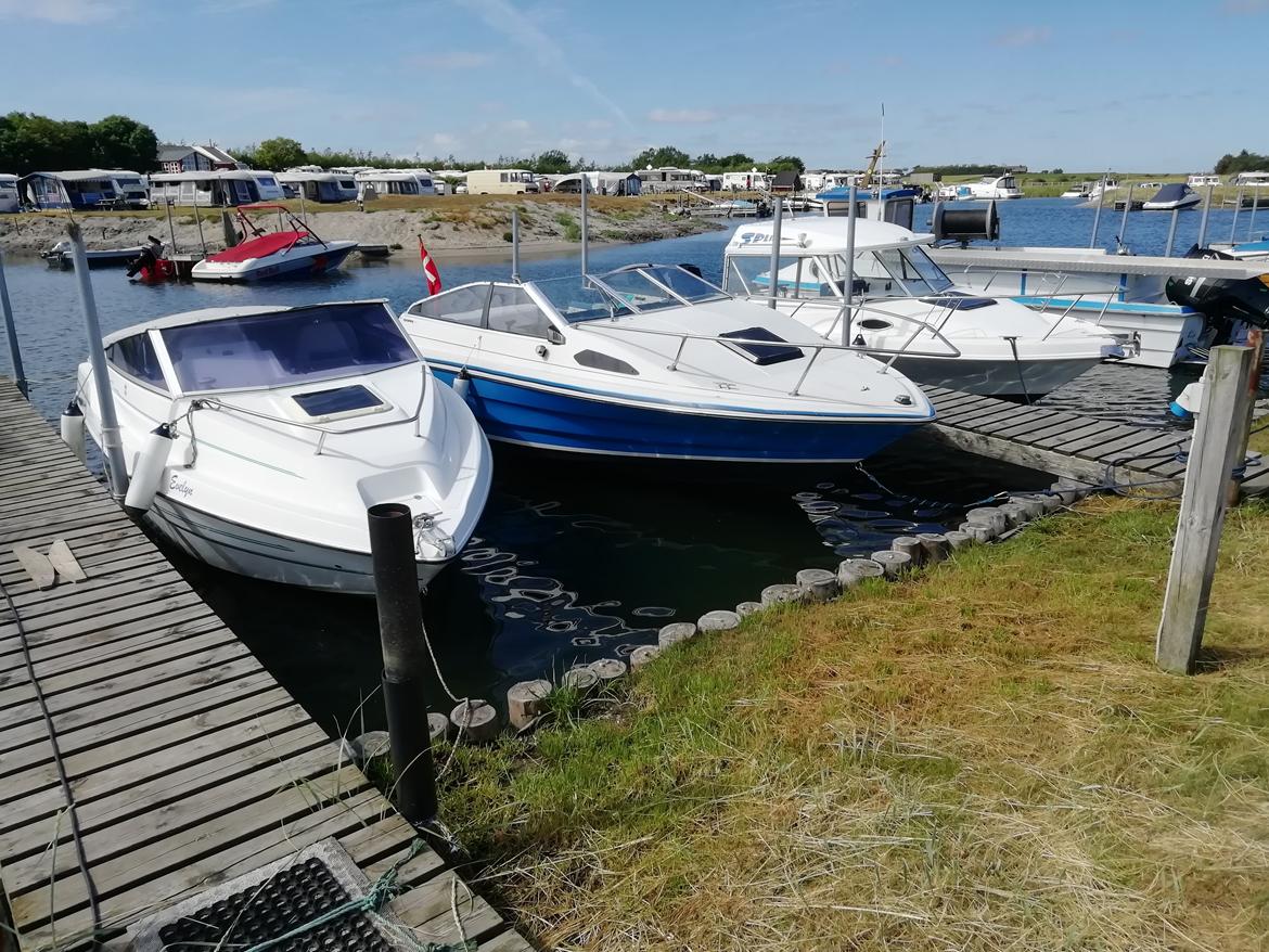 Bayliner 2150 cabri billede 13