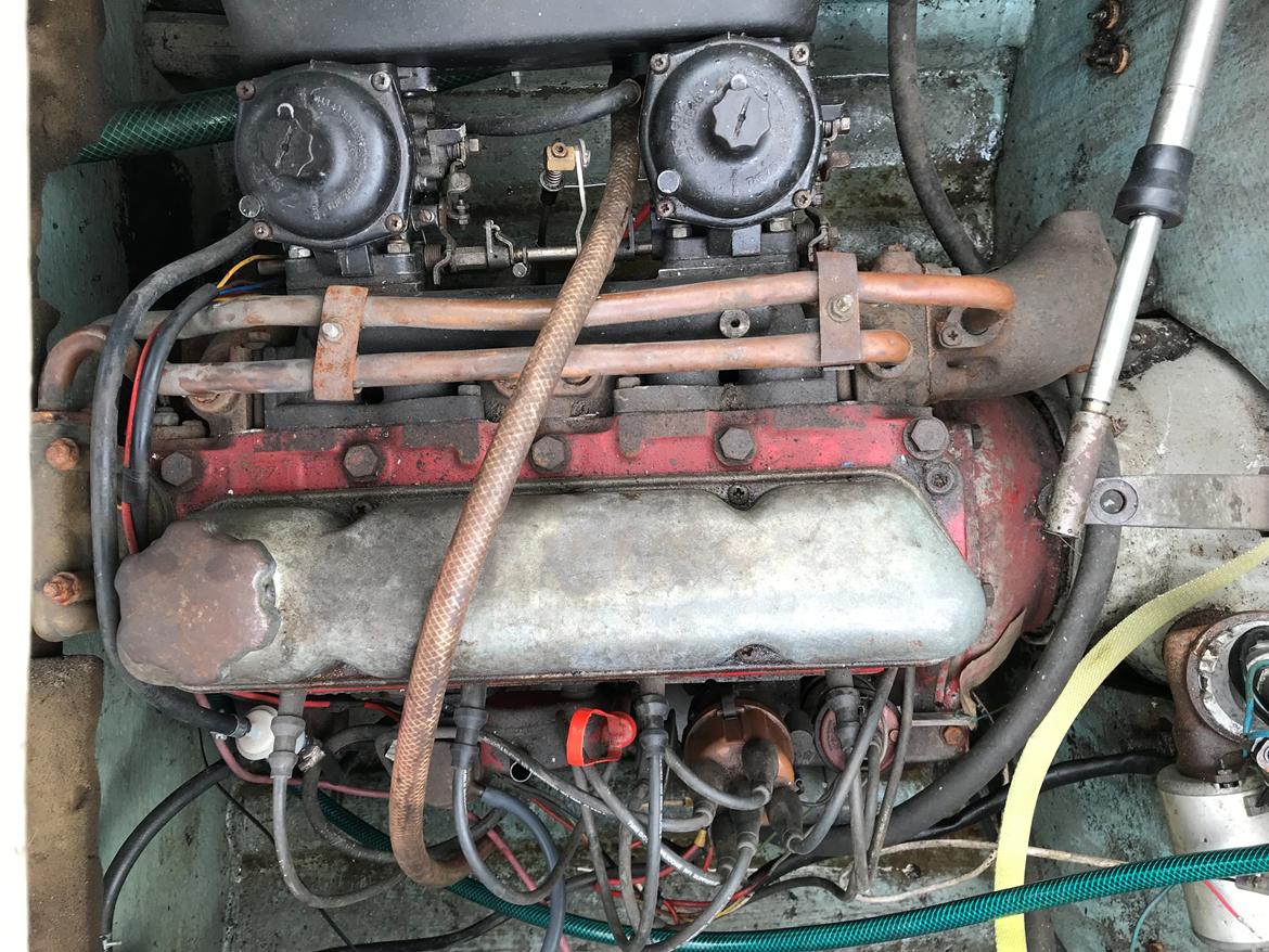 Draco 2000 ht sportling billede 4