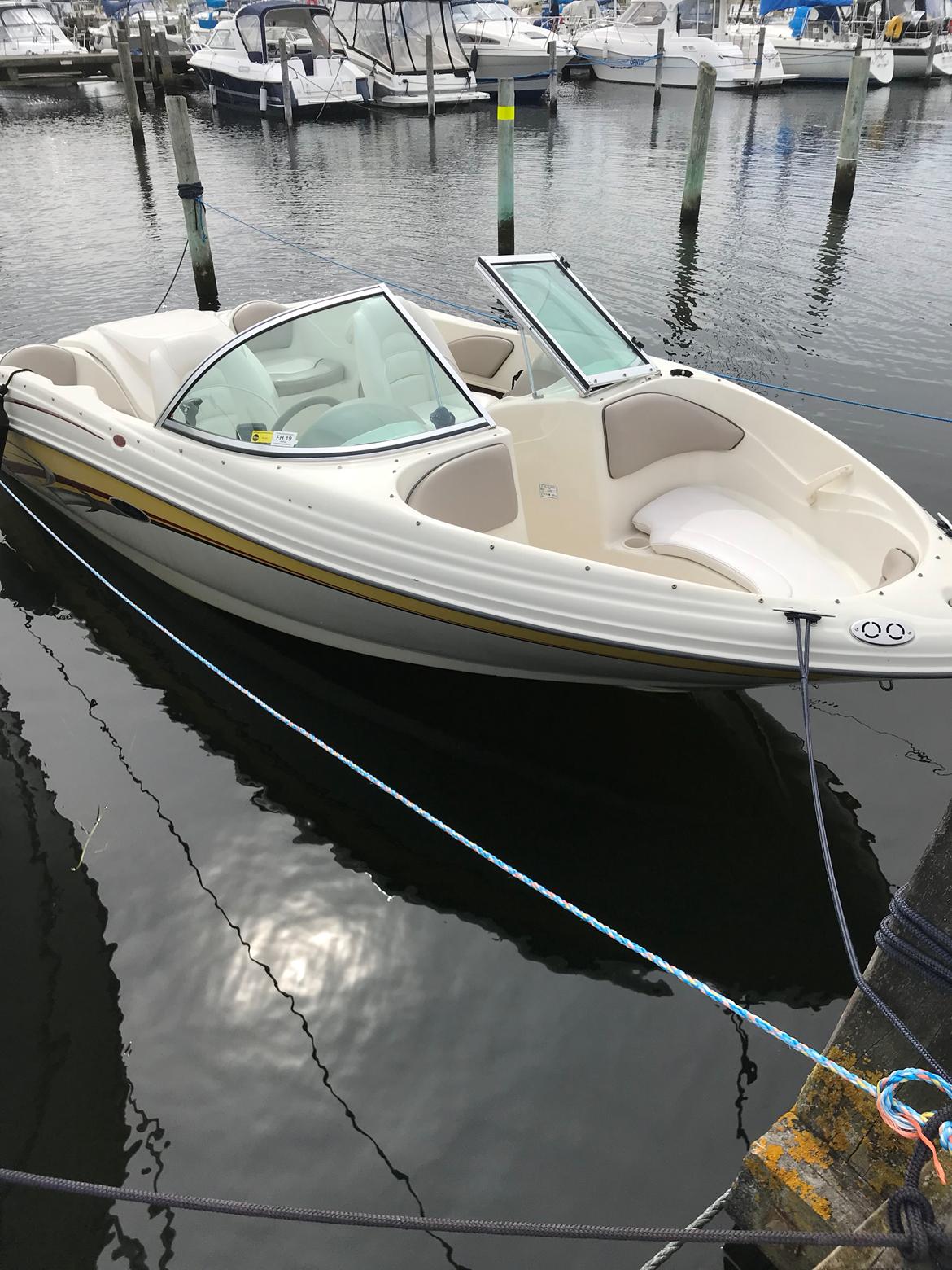 Sea Ray 176 srx billede 5