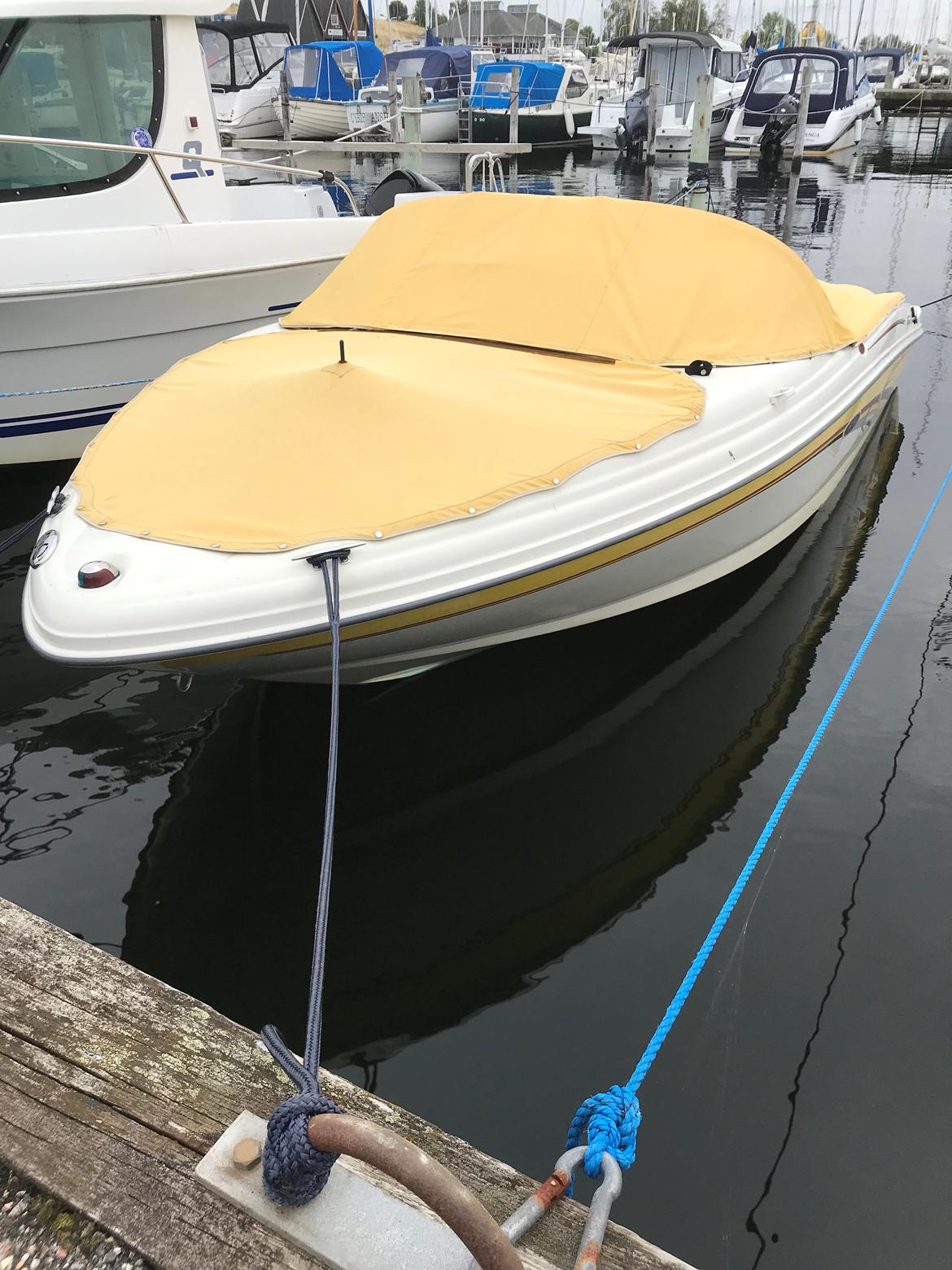 Sea Ray 176 srx billede 17