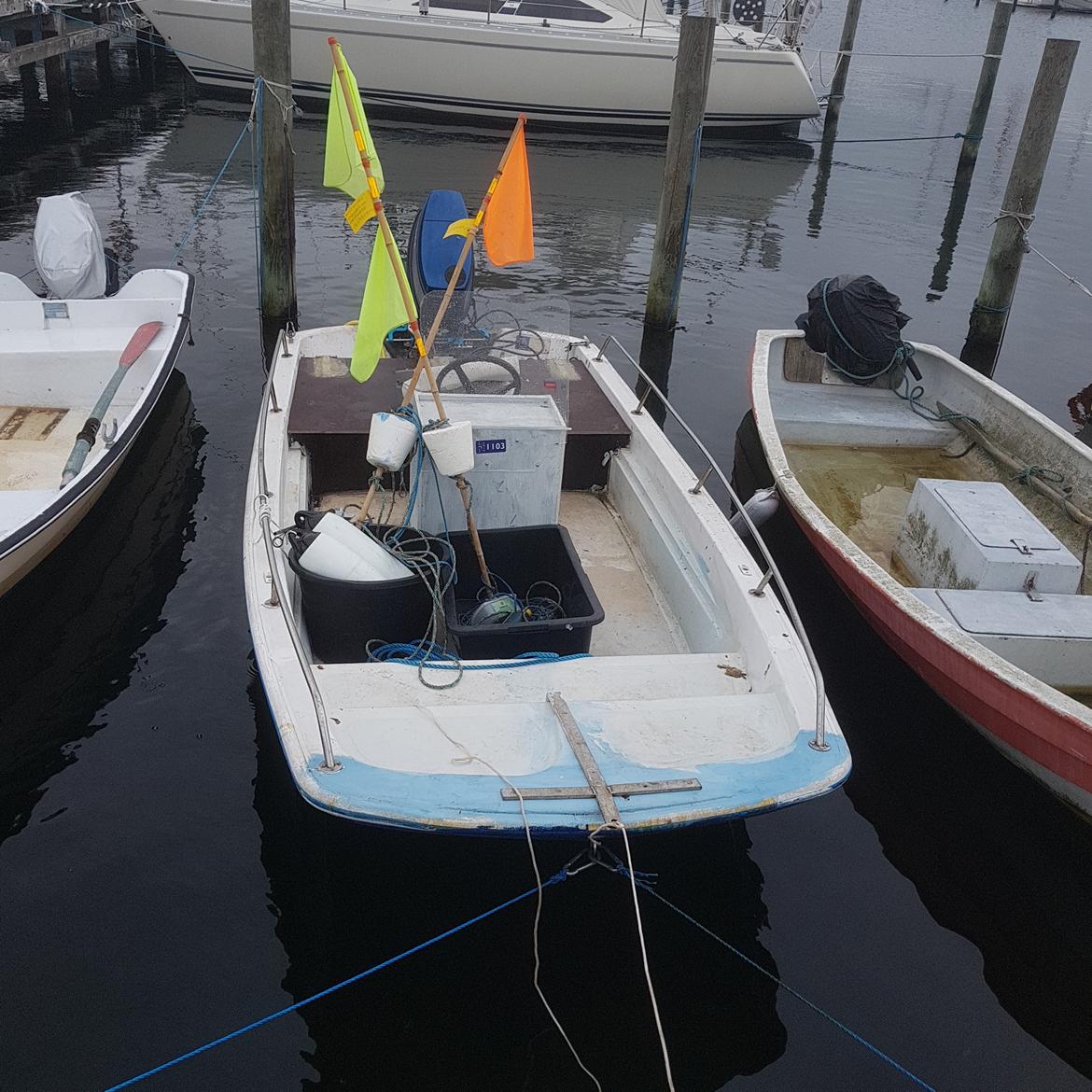 Dory 13 billede 2