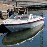 Starcraft Eurostar Elite SOLGT