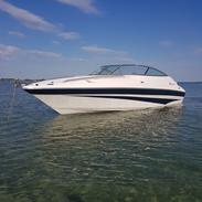 Campion 705i SC